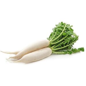 RADISH (MOOLI ) 1KG