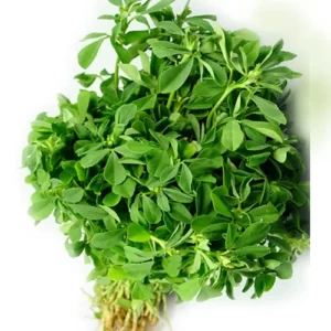 METHI LEAVES