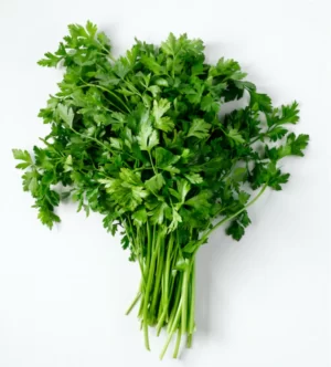 PARSLEY FRESH