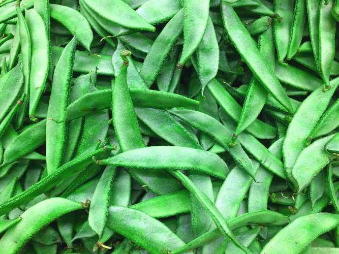 VALOR PAPDI BEANS 1KG