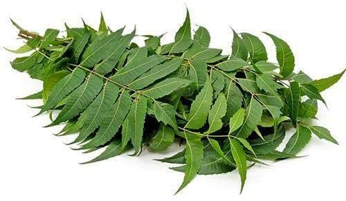 NEEM LEAVES PACKET