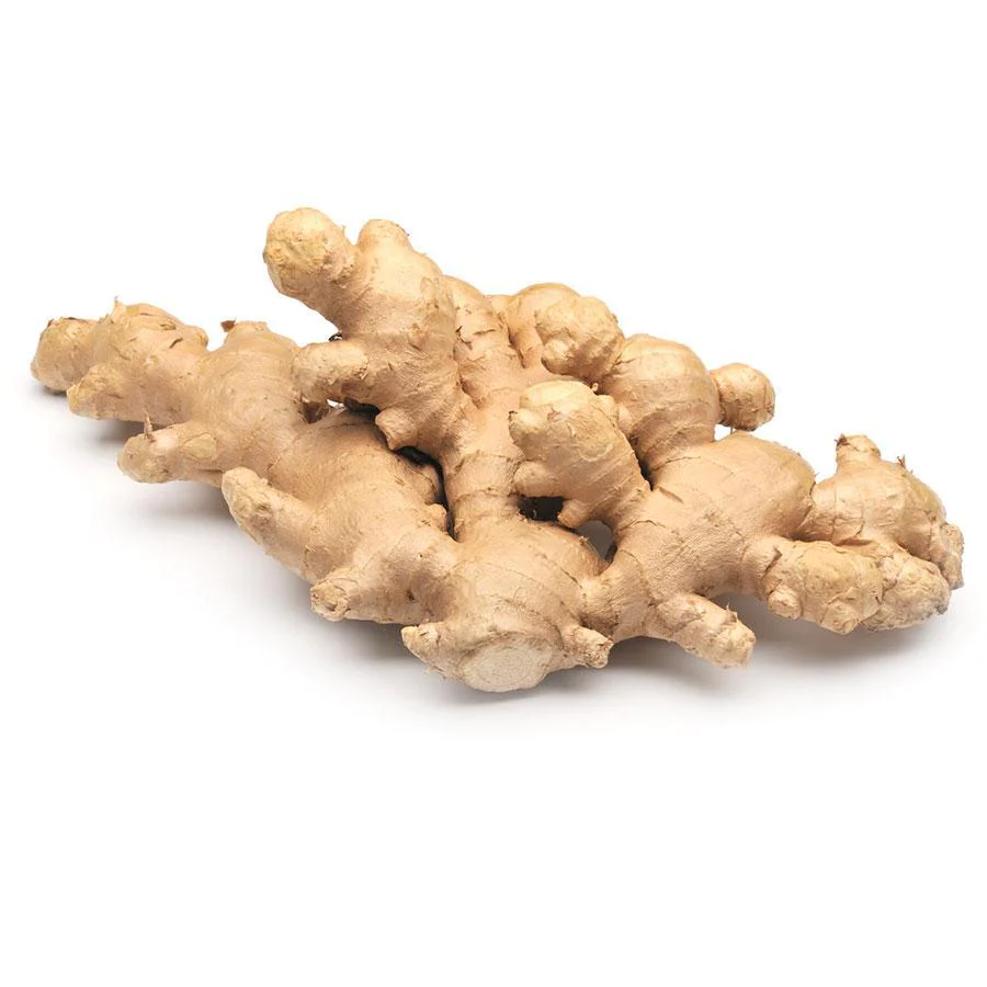 GINGER FRESH 1KG