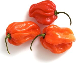 SCOTCH BONNET PEPPERS 1KG