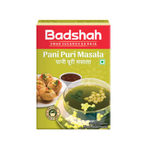 BADSHAH PANI PURI MASALA 100G